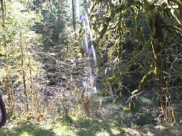 Somewhere out there in Oregon