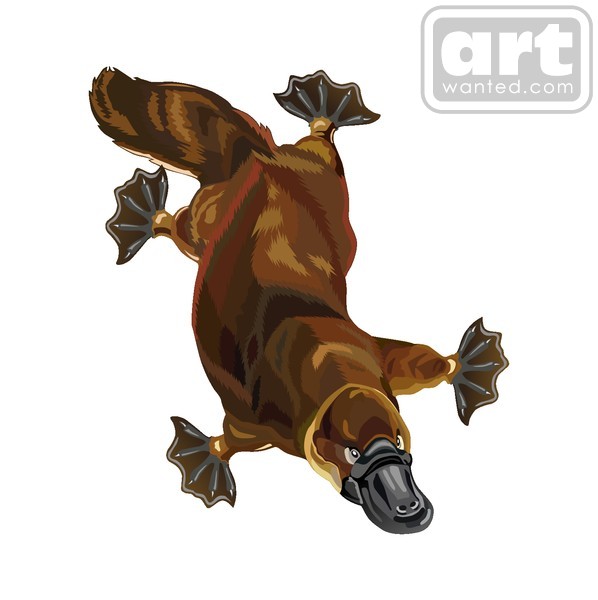 platypus