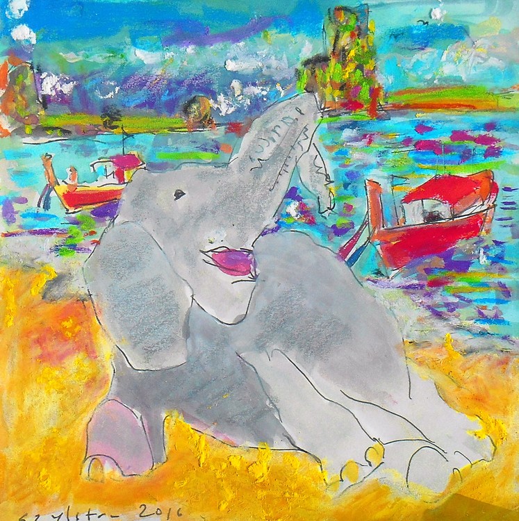 Elephant Beach