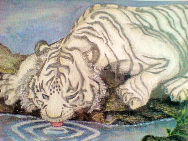 drinking from the waterhole 