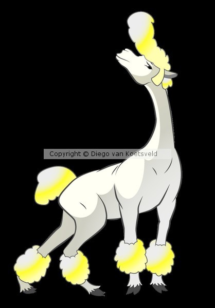 Shaved Alpaca