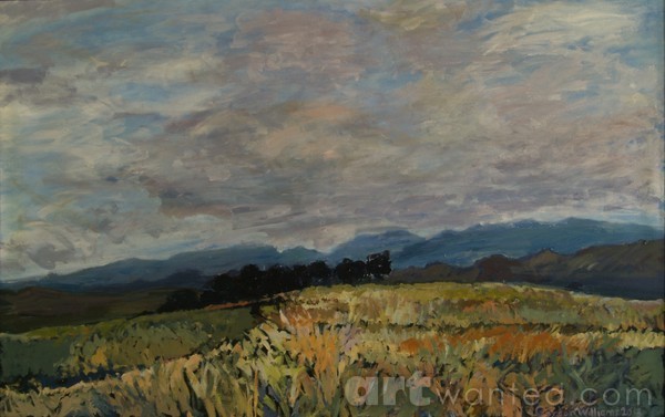 Swartland landscape