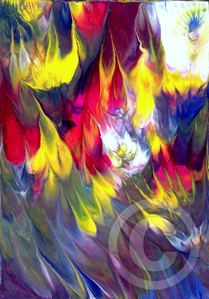 wild flower