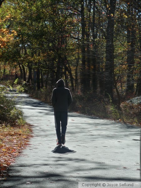 Solitary Fall Walk