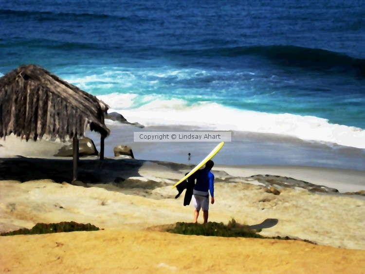 A Day in LaJolla