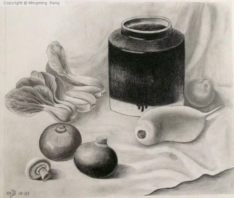 Pencil Sketch 