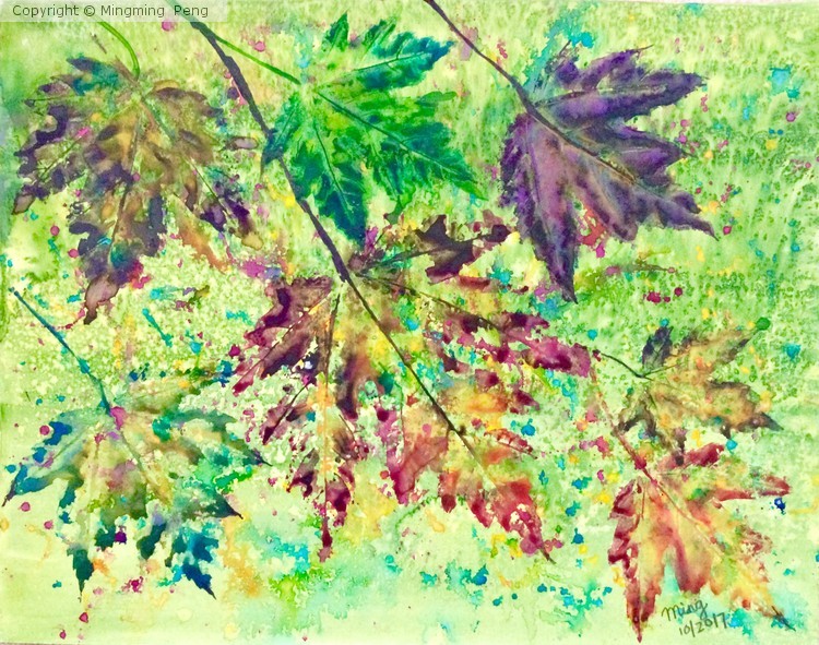 Fall leaves