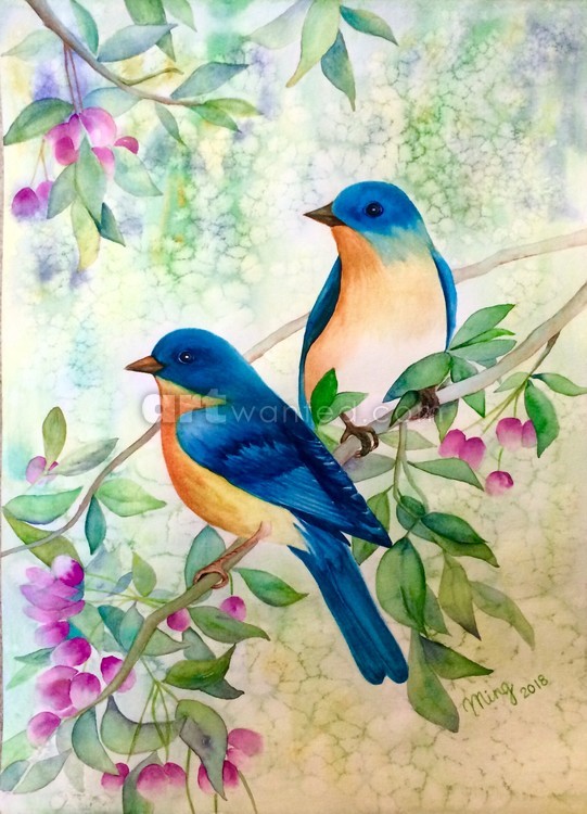 Blue birds