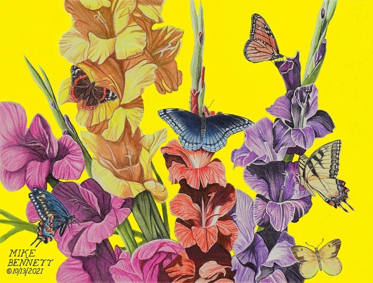 Butterflies & Gladiolas #2