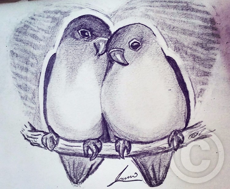 love birds