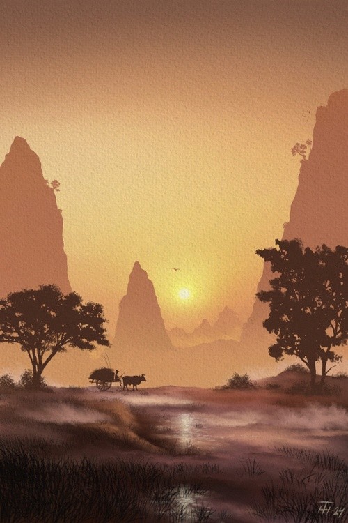Misty Morning