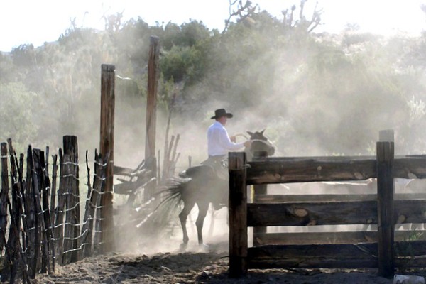 Watchin' the Gate