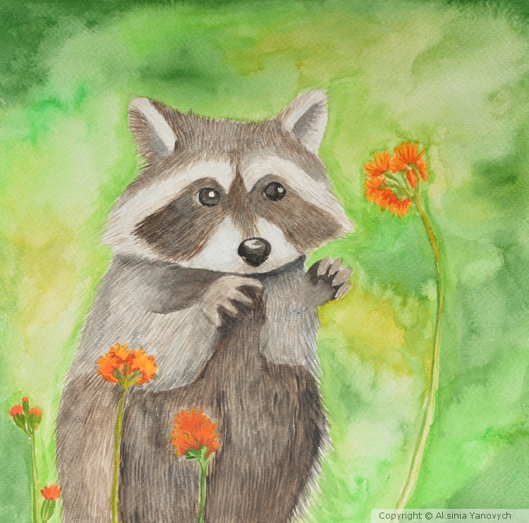 Coon