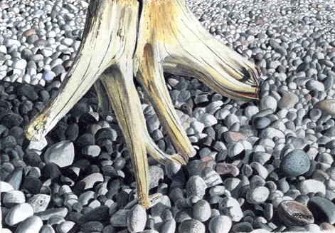 Pebble Beach Stump