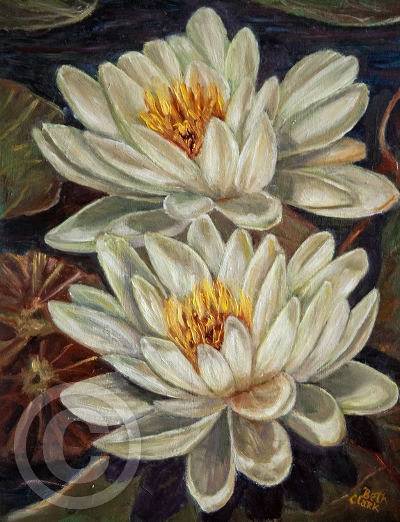 Water Lilies