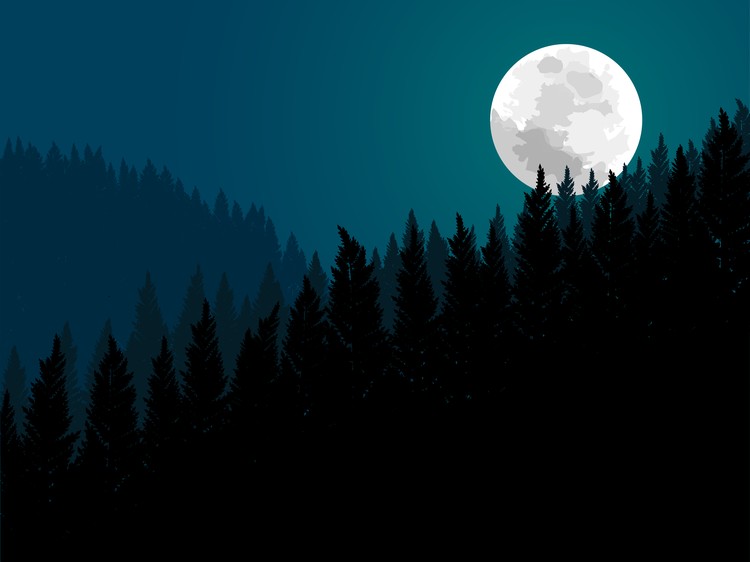 full moon in valley