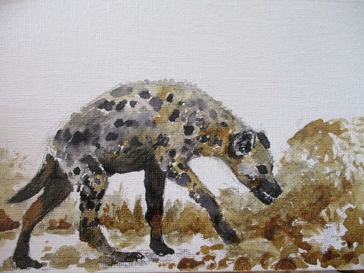Spotted hyaena (Crocuta crocuta) - coffee and black ink on canvas (5x7)