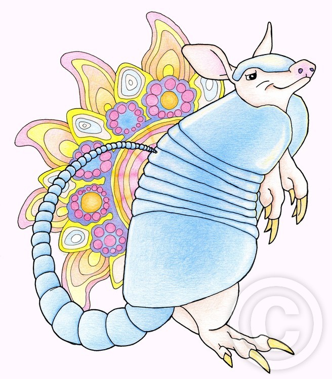 Armadillo Mandala