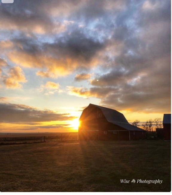 Sundown on the Farm