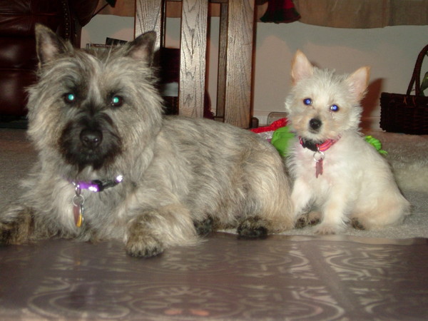 Maggie & Lizzie
