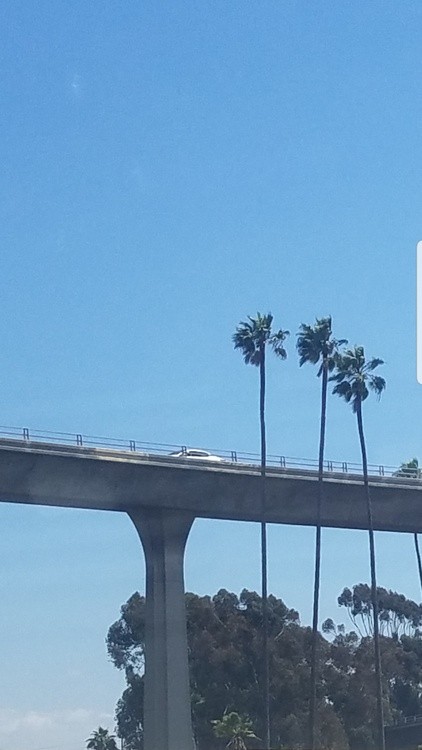 Palm@805 National City, CA