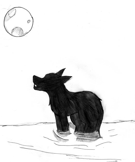 Moonlit Howl