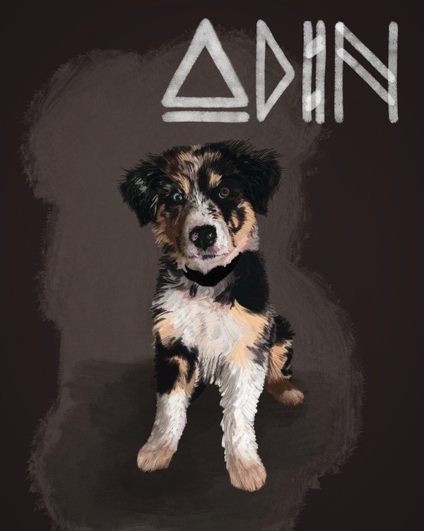 Odin’s Portrait 