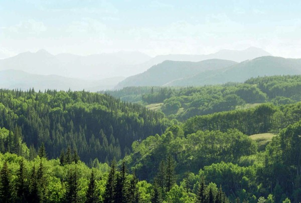 Sheep Valley