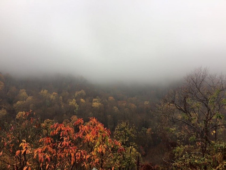 GREAT SMOKEY MTN NAT'L PARK