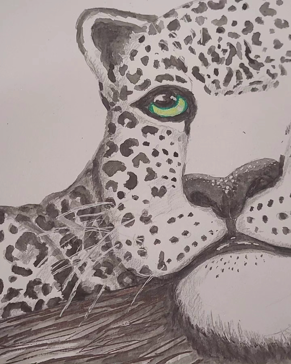 Resting Jaguar