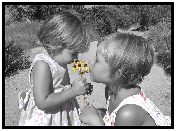 discovery sisters
