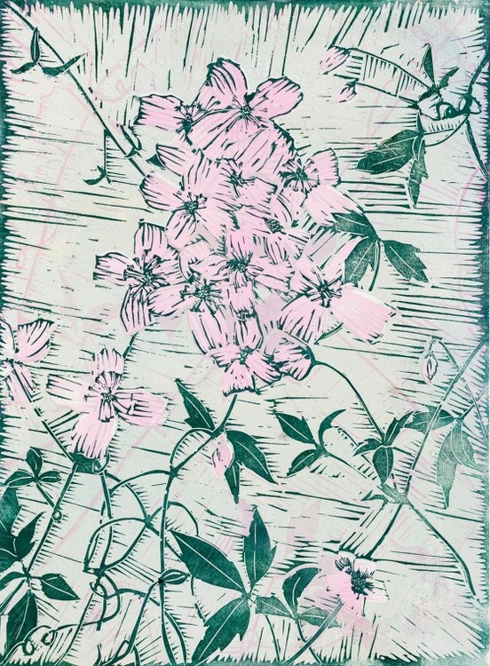 Clematis Montana (2015) Linocut by Danielle Stretch