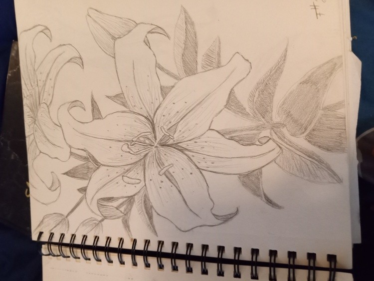 FLOWer Lilly