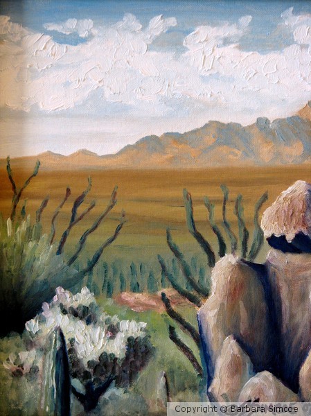 Sonoran Desert Museum
