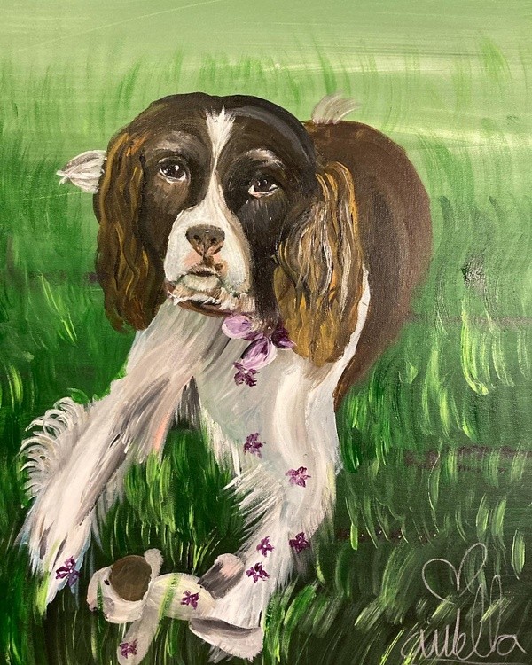 Rogue the Springer