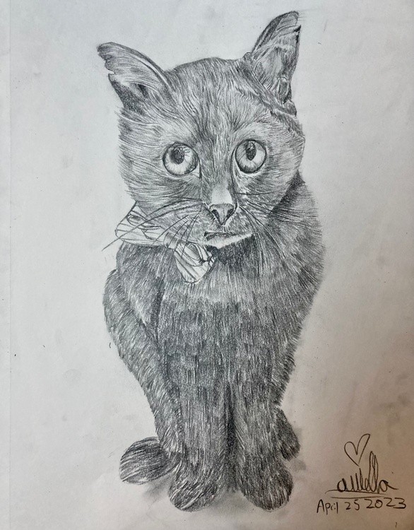 Pencil Drawing of Toothless