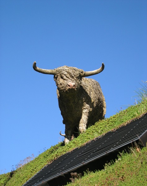 Cows on the roof 2