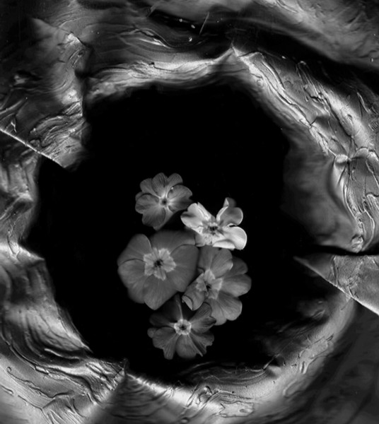 popart with a touch of rokoko in bw