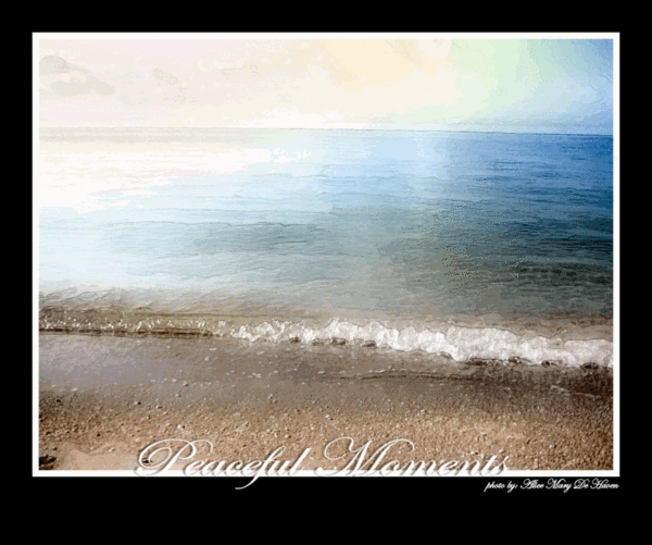 Peaceful Moments
