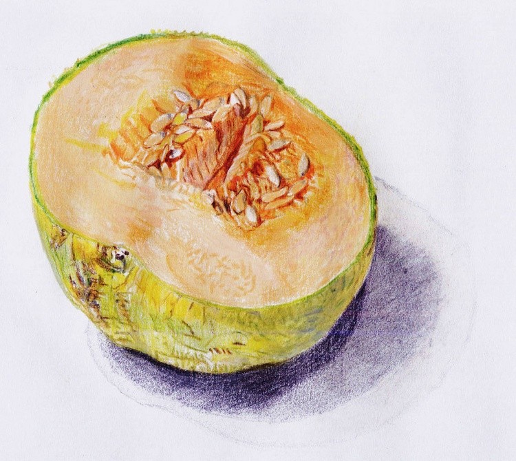 musk-melon