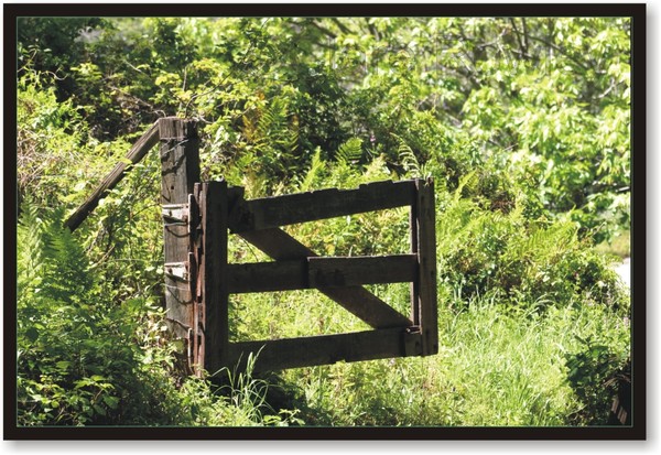 Welcome Gate to Paradise