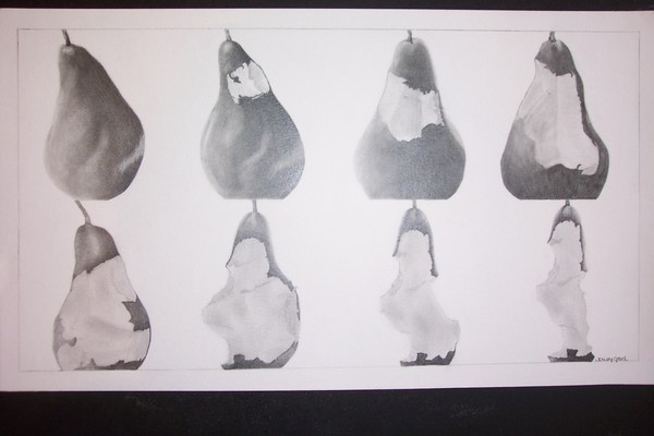 disappearing pear