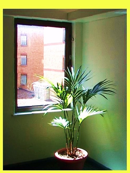 344. Quiet Corner...