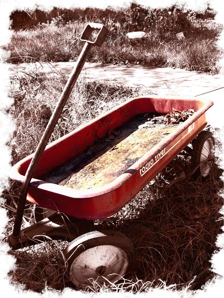 wagon