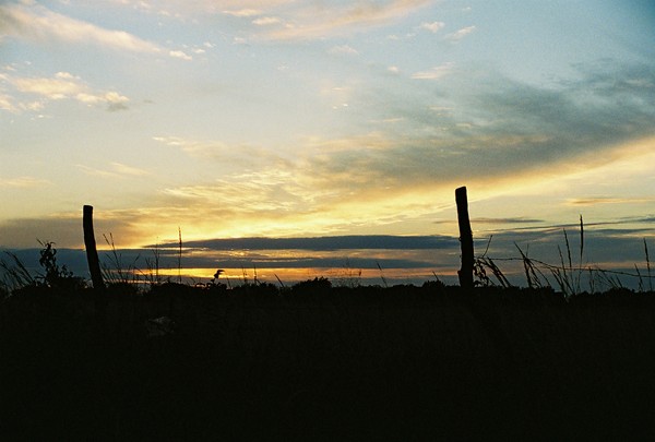 fence shot