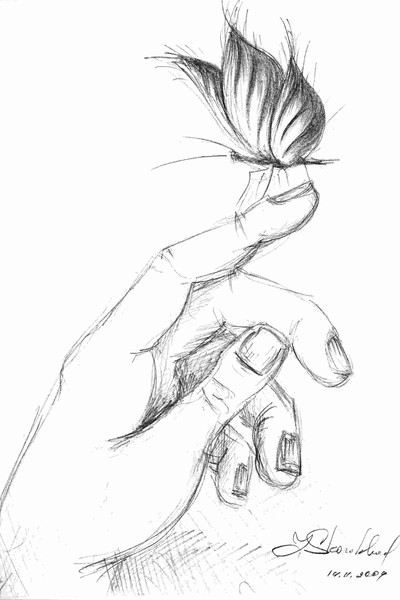 Moment