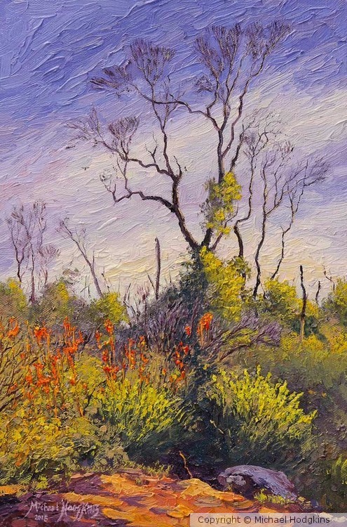 Regeneration in the Perth Hills