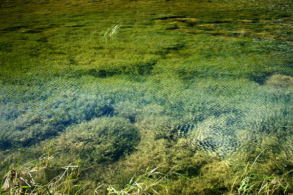 Little Pond
