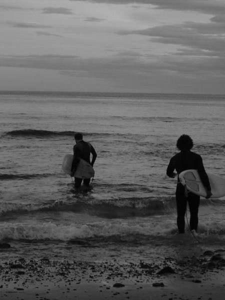 surf