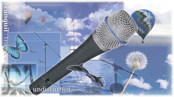 Tranquil Mic